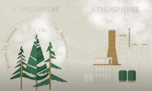 infographic on the carbon story