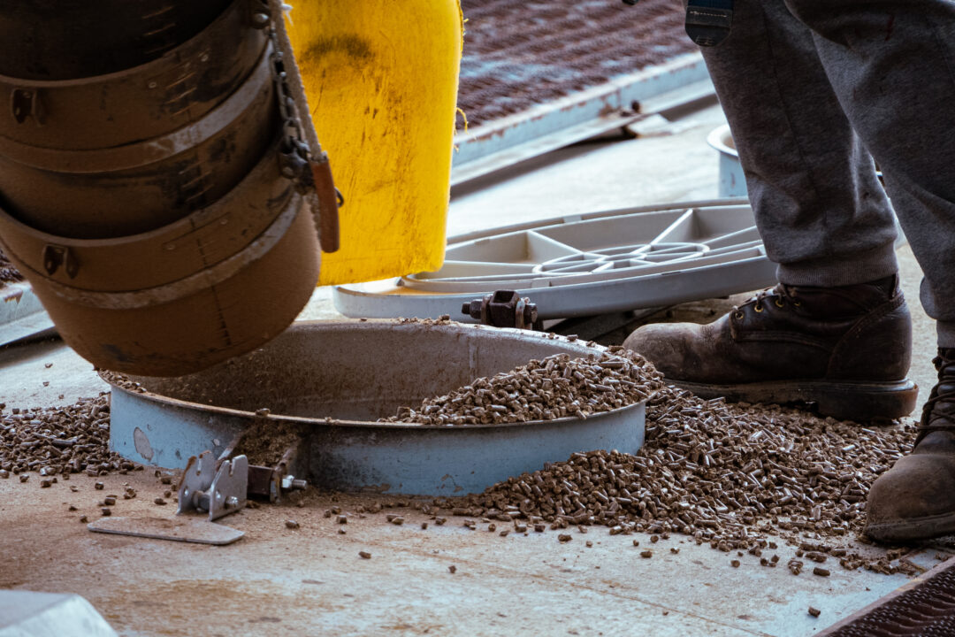 Wood pellets are poured into a railcar.