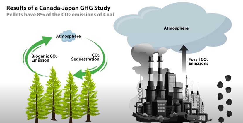 infographic on results of a Canada-Japan GHG study.