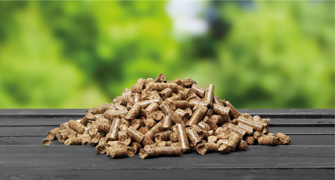 A close-up image of a pile of wood pellets with a green background